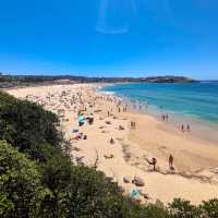 Bondi to Coogee Walk
