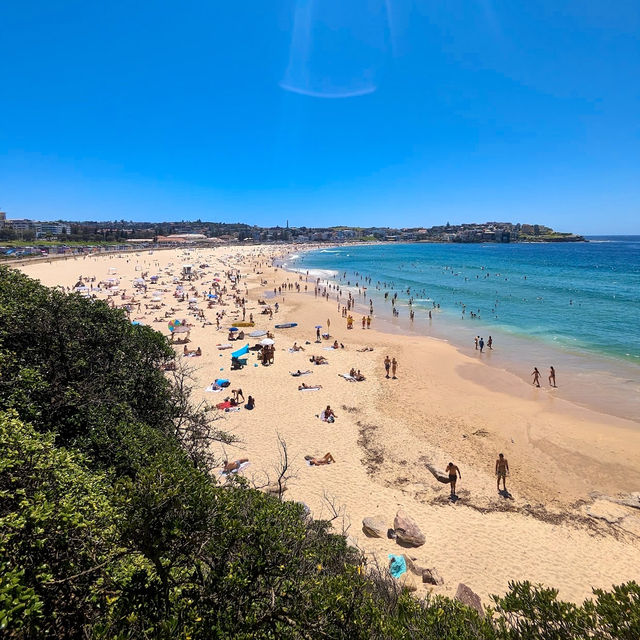 Bondi to Coogee Walk