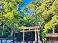 Meiji Jingu Shrine 