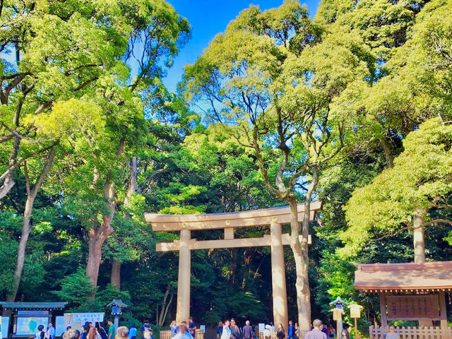 Meiji Jingu Shrine 