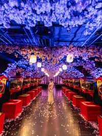 アートアクアリウム美術館 GINZA  『めっちゃ桜2024』🌸🐠🌸🐠🌸 