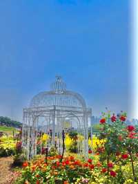 Jungnang Rose Park 