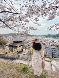 【広島】尾道水道×桜の眺めが絶景すぎる千光寺公園！