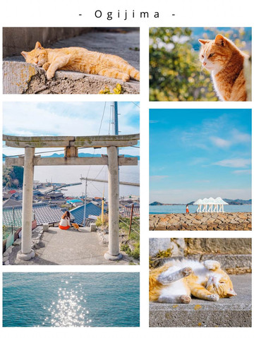 保存版】にゃんこで溢れる瀬戸内の猫島5選！ | Trip.com 多度津町