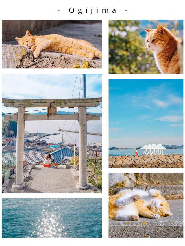 【保存版】にゃんこで溢れる瀬戸内の猫島5選！
