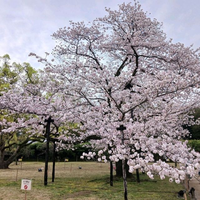 栗林公園