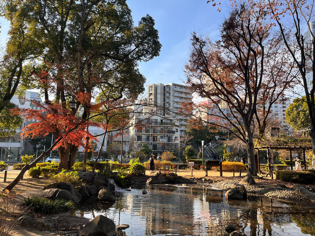 東京タワーが綺麗に見える芝公園🗼