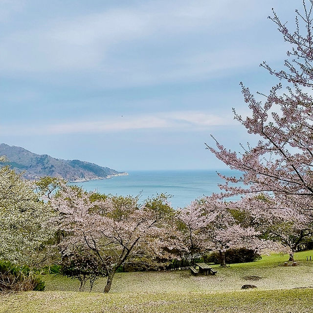 海と山の絶景を楽しめるハイブリッドキャンプ場〜おしか家族旅行村キャンプ場〜