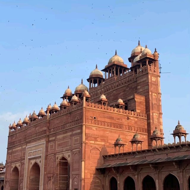 インド旅行