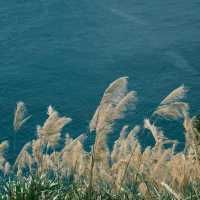 「萬山島：藍海沙灘，享受大自然樂趣」