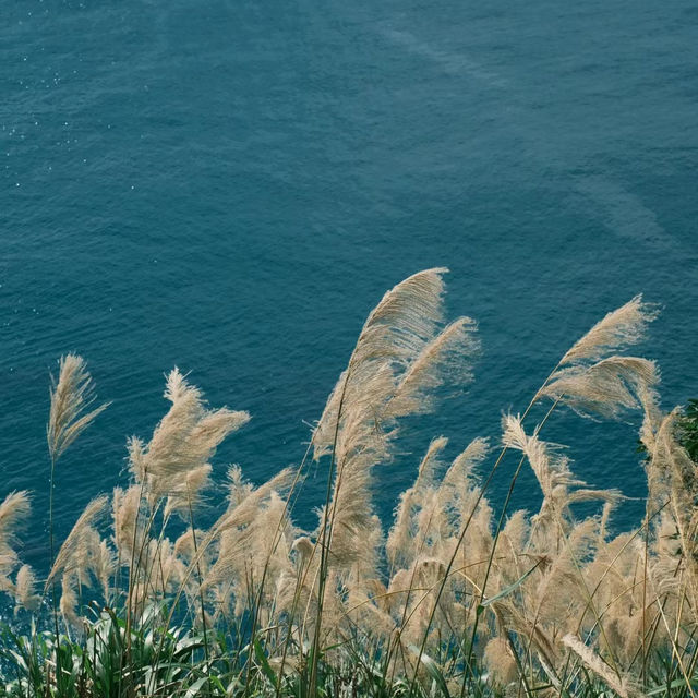 「萬山島：藍海沙灘，享受大自然樂趣」