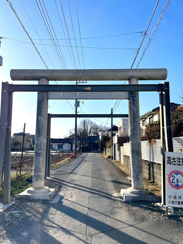 【前原神明宮/東京都】小金井神社から復座した地元密着の神社