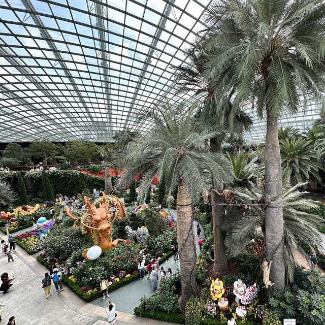 景點-新加坡🇸🇬三大植物園［濱海灣花園雲霧林、花穹、胡姬花園］