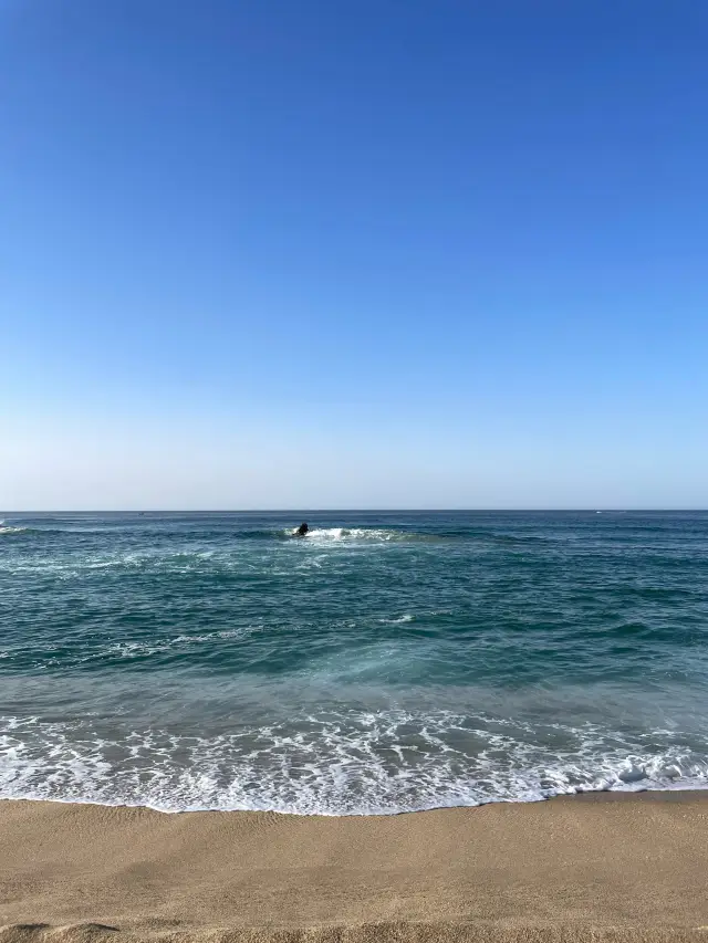 春天到安木海邊欣賞美麗海景