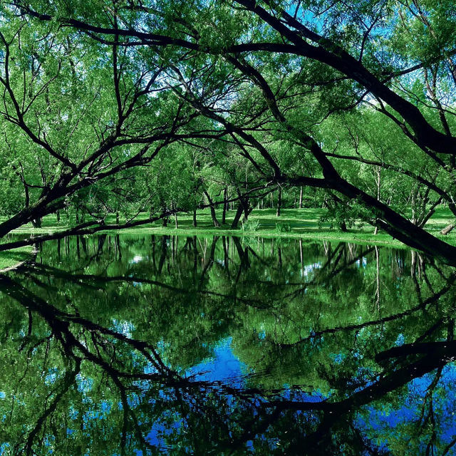 廣州流花湖公園：湖光山色，適合漫步欣賞