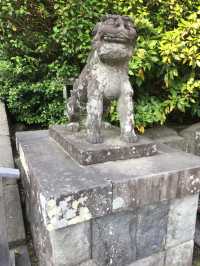 鶴岡八幡宮的莊嚴與美麗：探索鎌倉的靈魂