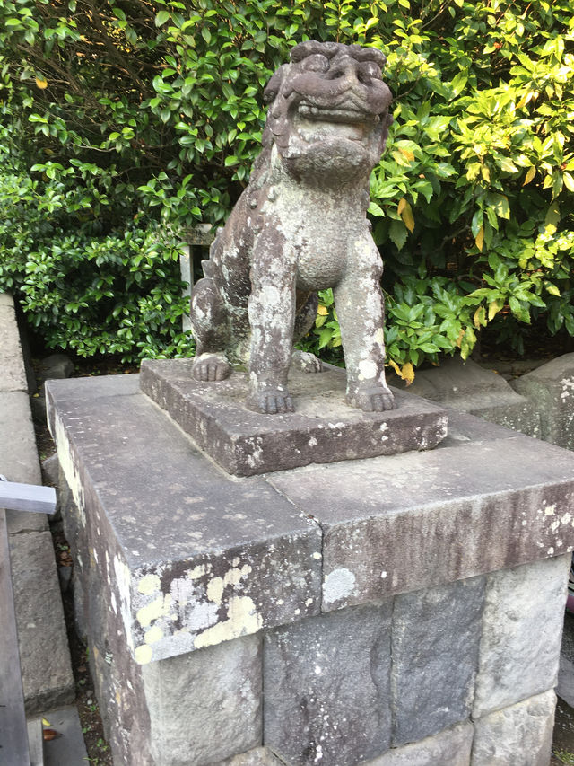 鶴岡八幡宮的莊嚴與美麗：探索鎌倉的靈魂