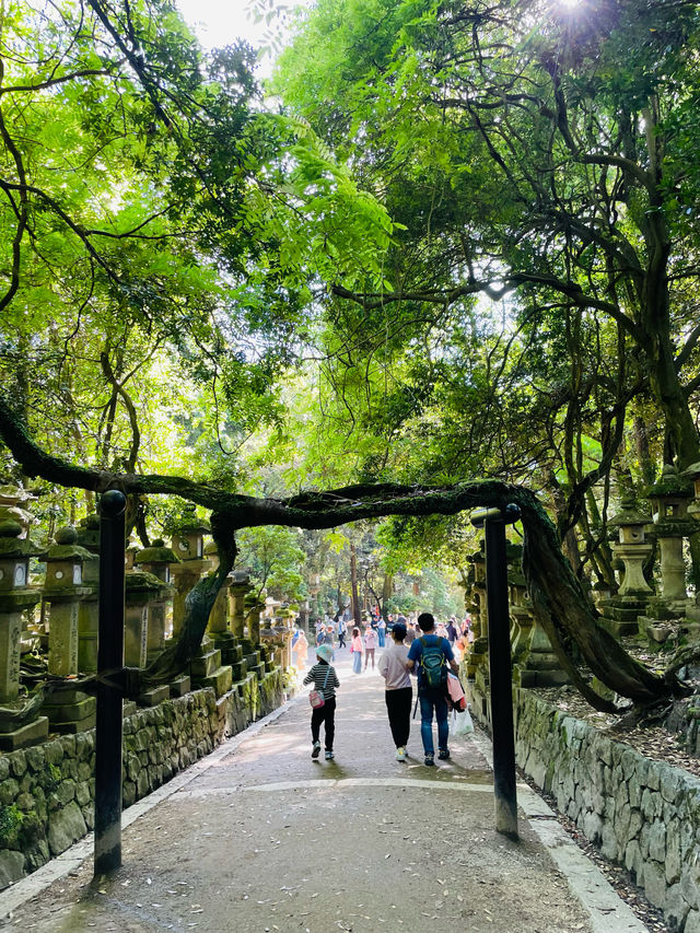 【奈良県】春日五代龍神めぐり「龍王社」