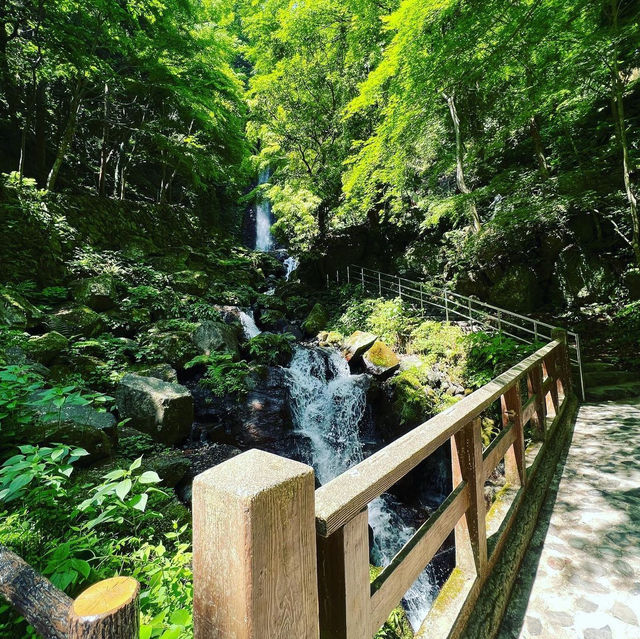 養老の滝