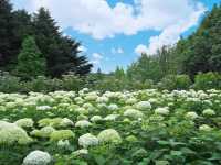 神戶市立森林植物園