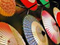 日本三大名園的兼六園賞櫻