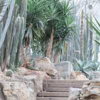 【成都植物園】春日百花齊放，2024年春遊首選
