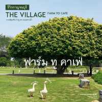 FARM TO CAFE | คาเฟ่สุดชิลล์วิวภูเขา