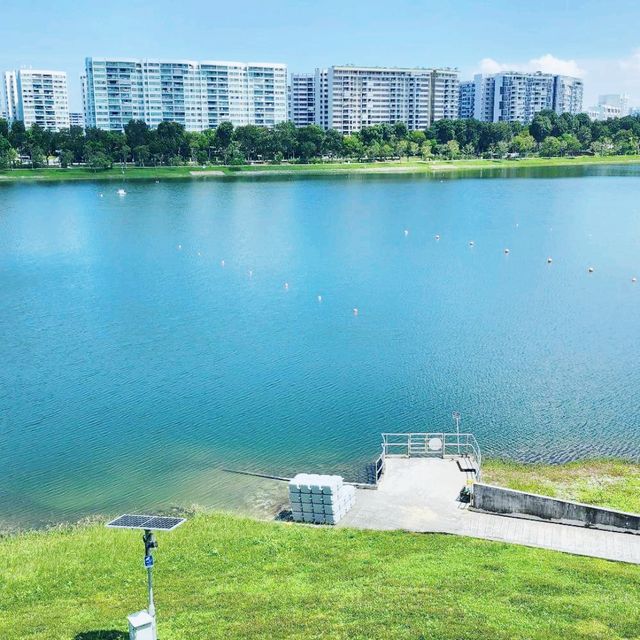 Viewpoint of bedok reservoir 