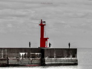 📍Ose Port Breakwater Lighthouse 会瀬港 防波堤灯台