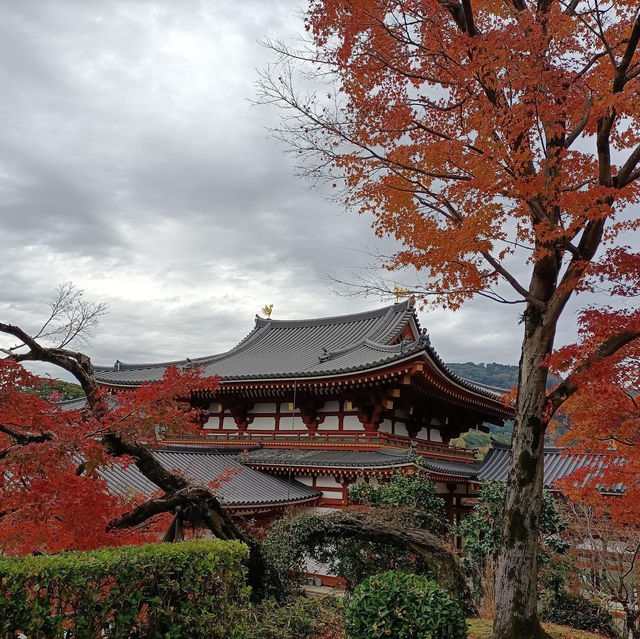 平等院 日本硬幣 日本必遊