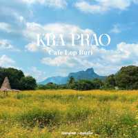 คาเฟ่ลพบุรี ทุ่งดอกไม้ วิวภูเขา สวยมาก