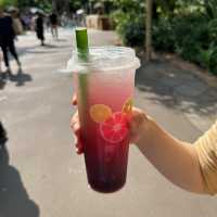 【香港ディズニー】ショーとご飯の紹介✨