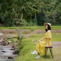 "หลงเขา" คาเฟ่กลางป่าเขาที่จะทำให้คุณหลงรัก