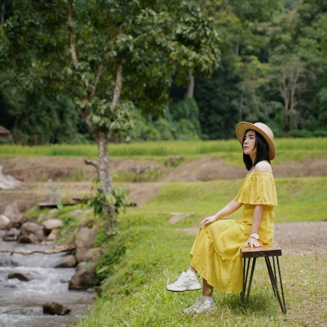 "หลงเขา" คาเฟ่กลางป่าเขาที่จะทำให้คุณหลงรัก