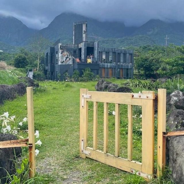 灰黑橘黃