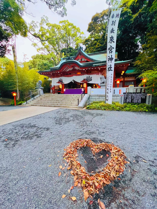 え、ココ神社なの?!えんむすび最強神社で癒されよう🤍