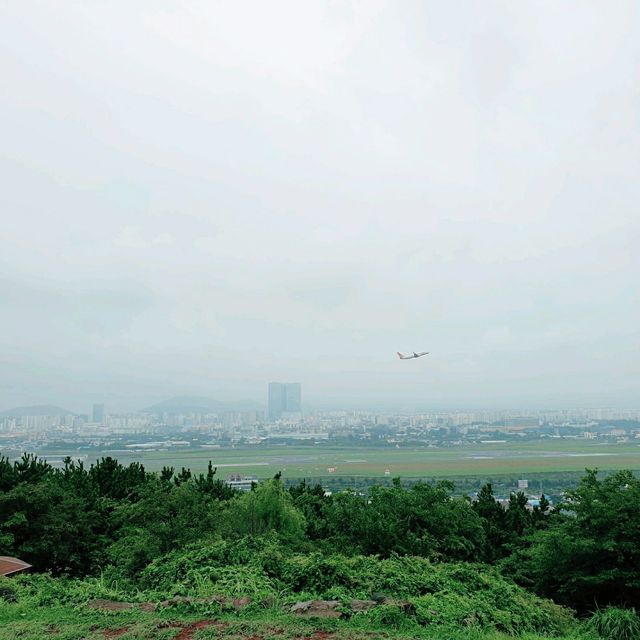 🏖여름엔 시원한 제주 순옥이네 물회🧊