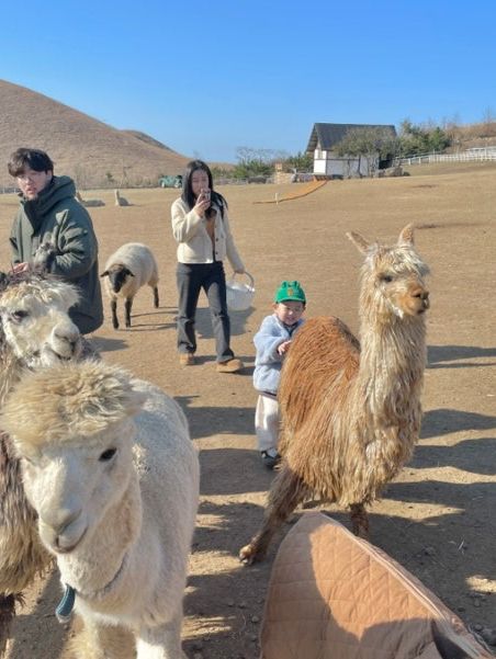 제주도 이색 체험🐪