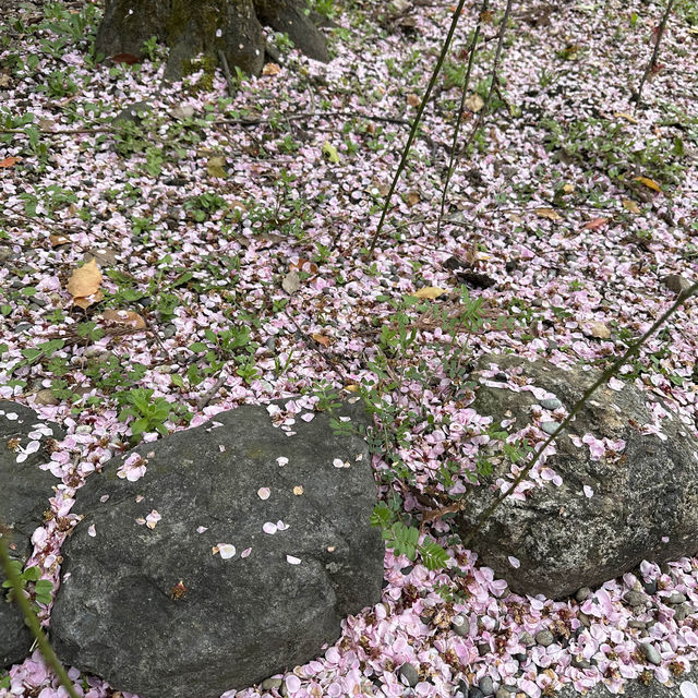 〜京都府〜学問、芸能のパワースポット！北野天満宮