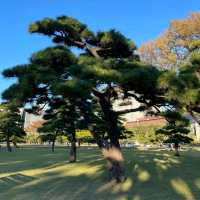 日比谷公園是日本第一座西式公園