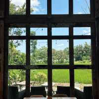 DREAMY LUNCH at Rice Fields!✨