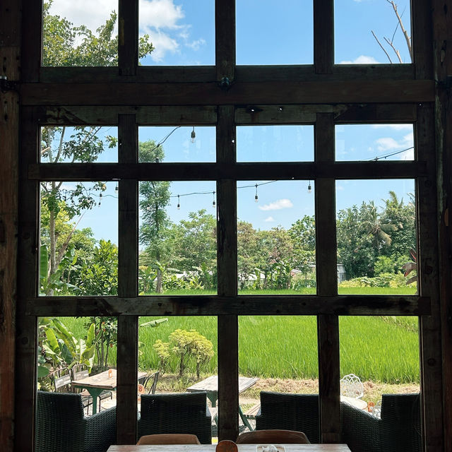 DREAMY LUNCH at Rice Fields!✨