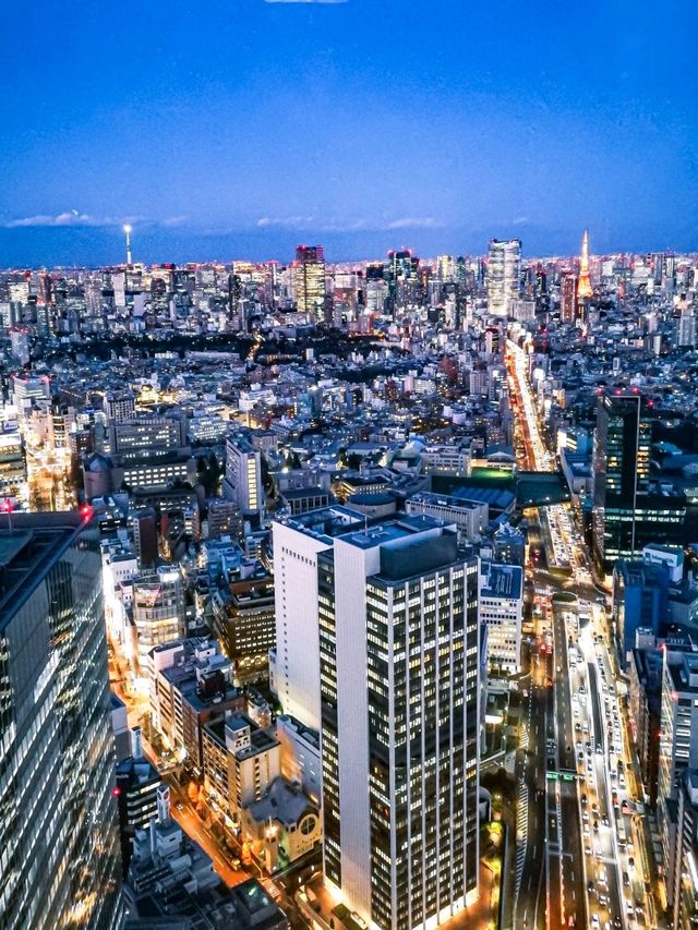 【SHIBUYA SKY】夜景