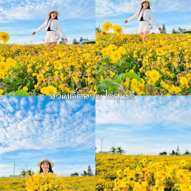 เขาค้อ เพชรบูรณ์