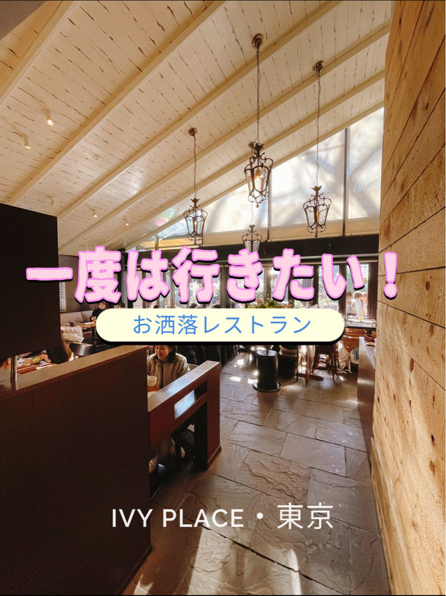 人気❣️東京のお洒落レストラン😋🍽️✨IVY PLACE