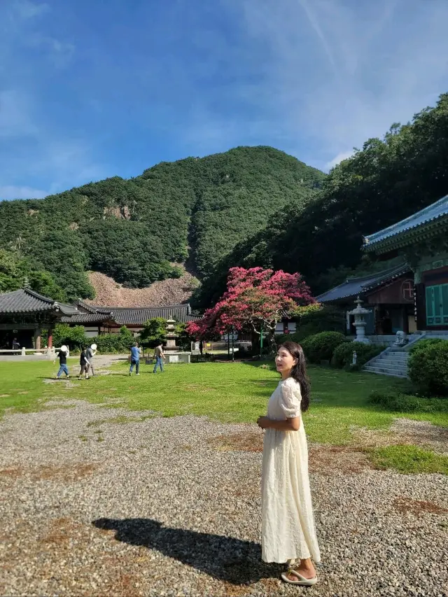 반야사 티켓 할인, 운영 시간, 후기 [2025년] | Trip.com