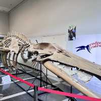 พิพิธภัณฑไดโนเสาร์🦖🦕