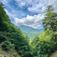 鮎返之滝 - 瀑布奇觀