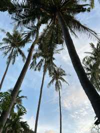 หาดไร่เลย์ สวรรค์ของนักปีนผา