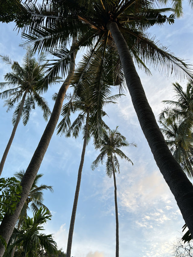 หาดไร่เลย์ สวรรค์ของนักปีนผา